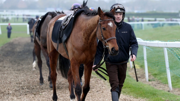 Shaneshill is favourite for two contests at next March's Cheltenham Festival