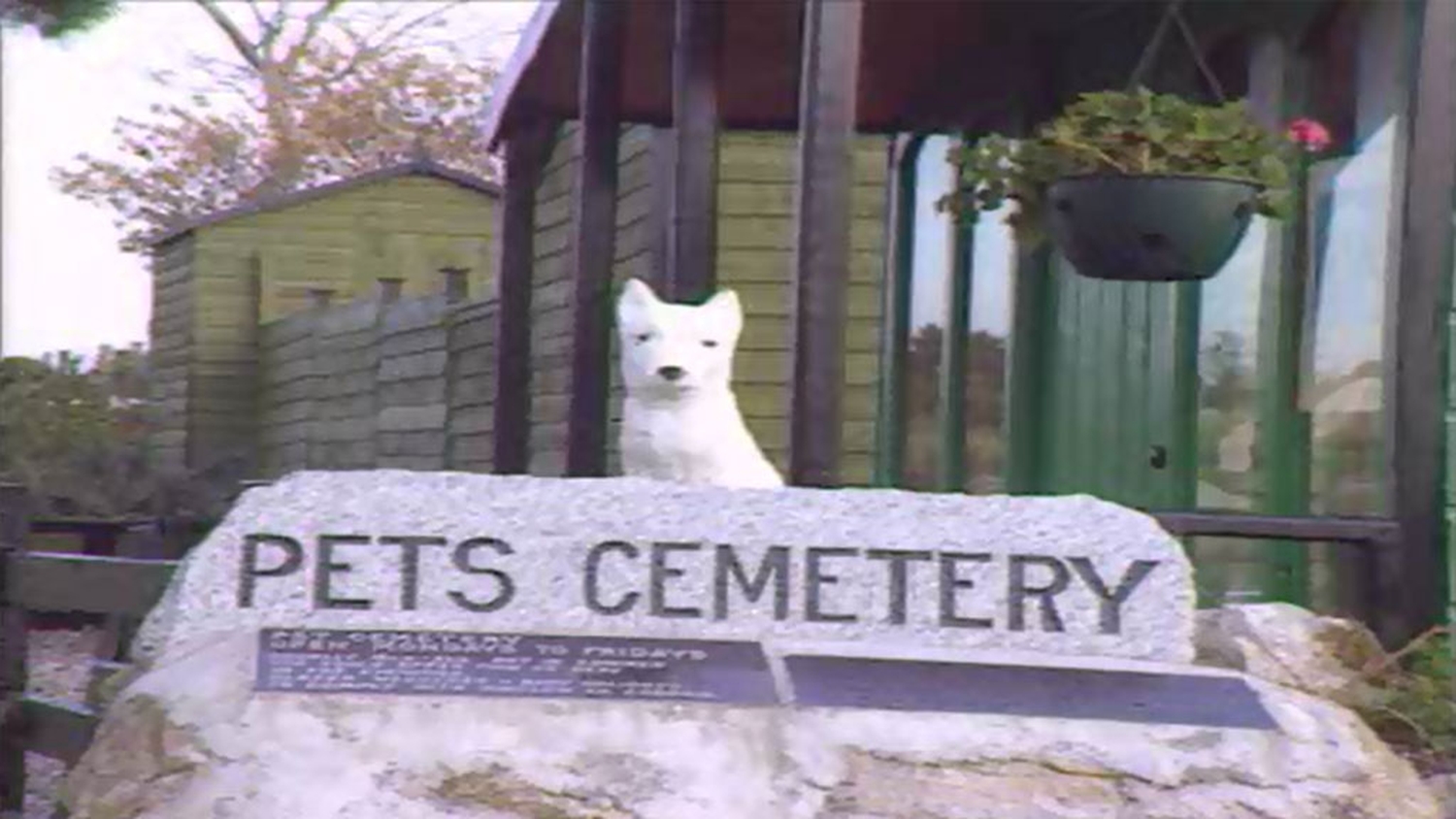 RTÉ Archives Environment Ireland's First Pet Cemetery
