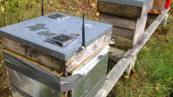 The smart beehive can autonomously track the activity of the bee colony and conditions within the hive