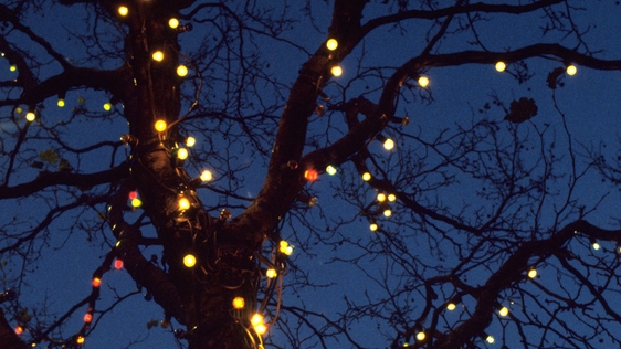 Christmas Lights in Glasthule