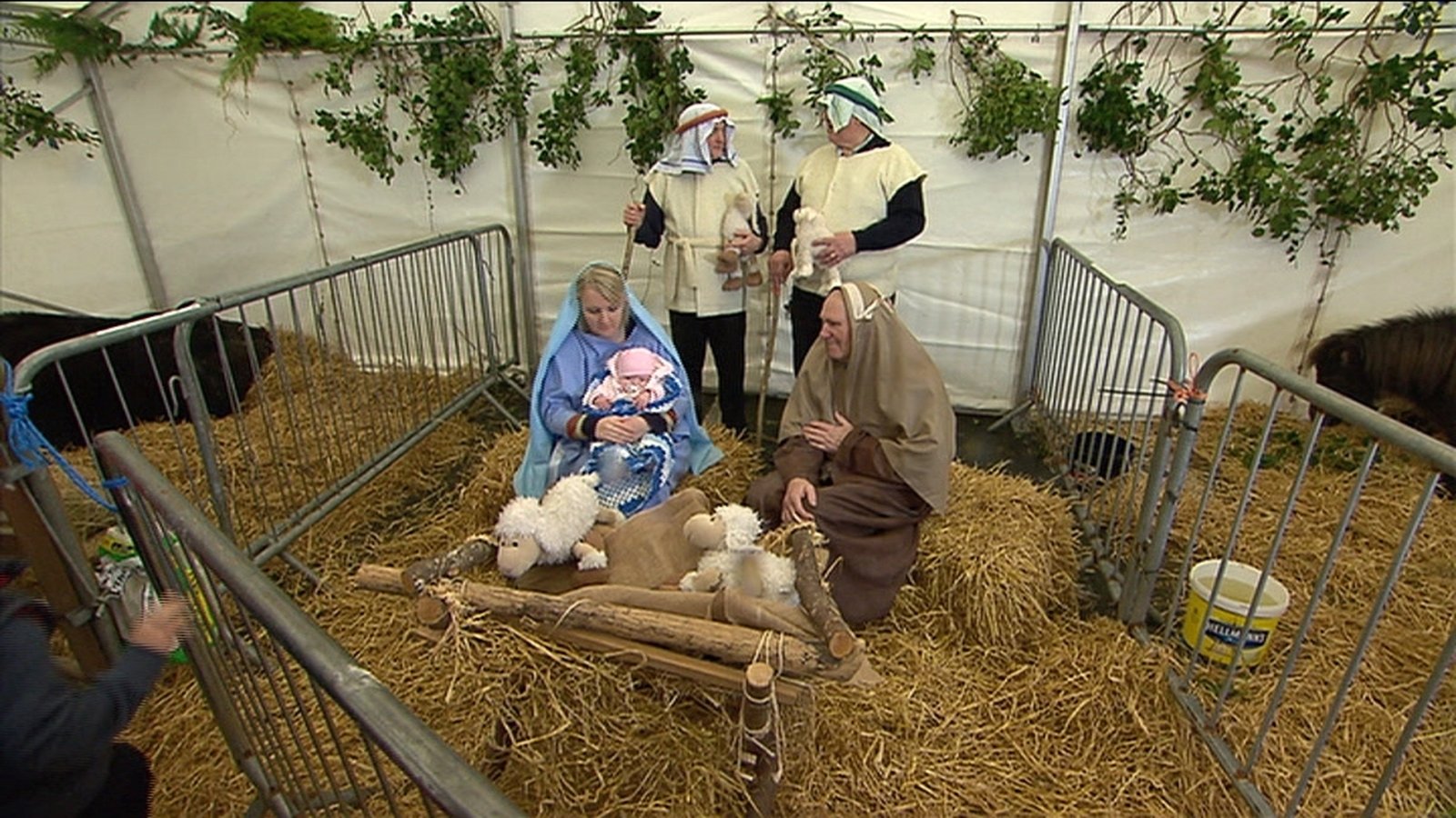 Hundreds visit living crib in Galway