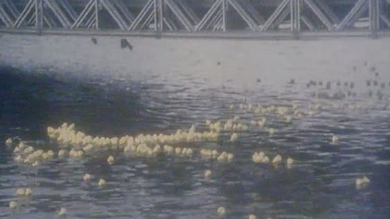 Cork Rubber Duck Derby, 1985