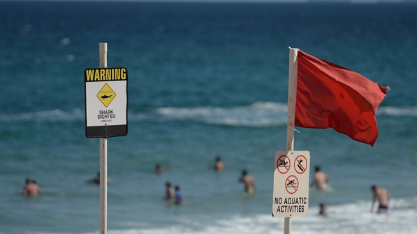 Spate of shark attacks have left one surfer dead and two injured