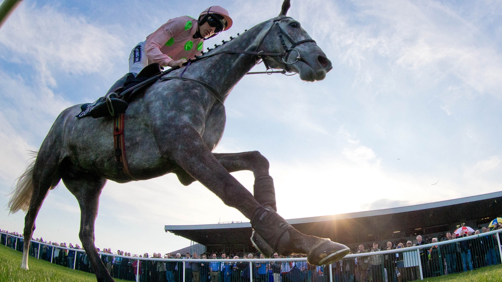 Punchestown preview