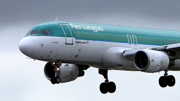 The Aer Lingus pilot reportedly saw a drone 150m from the plane's wing