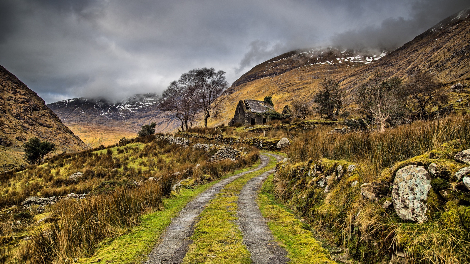 Ireland in Pictures