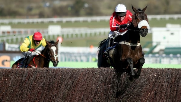Barry Geraghty partnered The Druids Nephew to victory at the recent Cheltenham Festival
