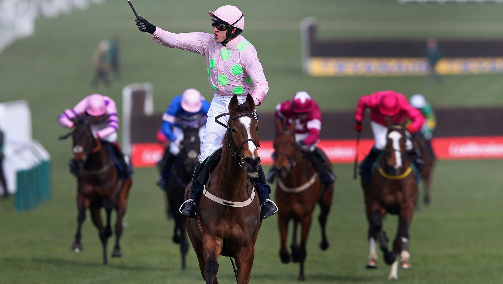 Thirteen Irish horses remain in Gold Cup mix