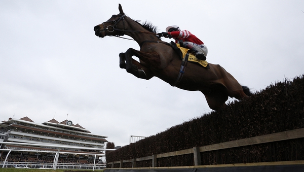 Coneygree became the first novice to win the Gold Cup in 41 years when he struck at last season's Cheltenham Festival