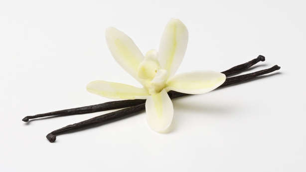 vanilla