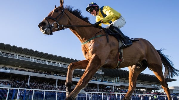 Foxrock looks set to miss the Aintree Grand National