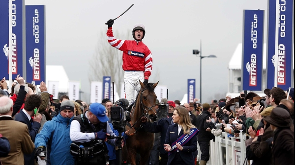 Coneygree after his triumph in jumping's blue riband