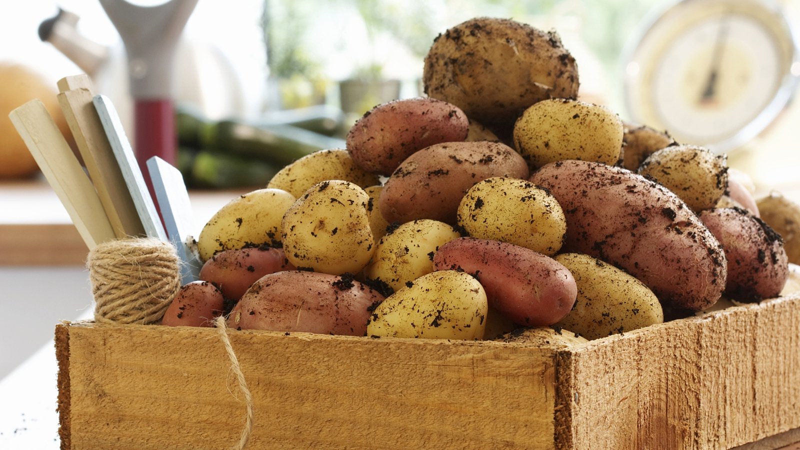 How potatoes. Baked Potatoes. Baked Potato. Потатос. Сыр батата.