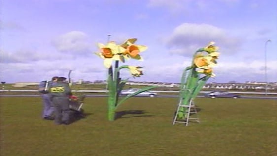 Daffodil Day (1989)