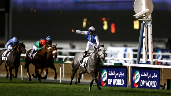 Maxime Guyon celebrates after Solow claims his eighth win in his last nine starts