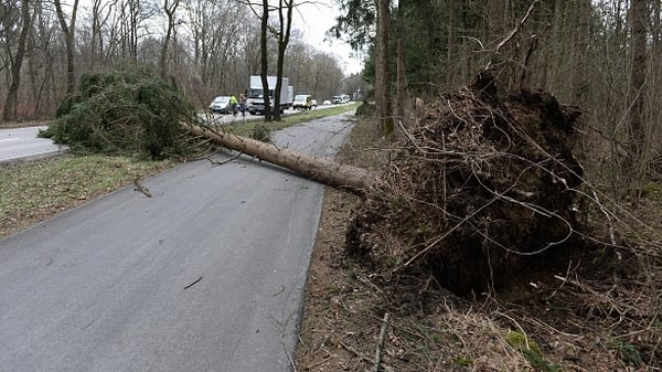 A tree lies on the road in southern Germany following the stormy weather