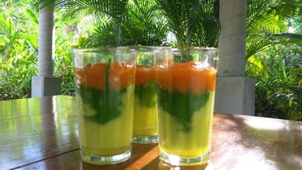Juice Fasting in Mexico's West Coast