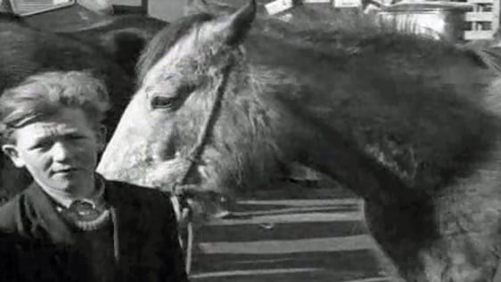 Millstreet Horse Fair (1965)