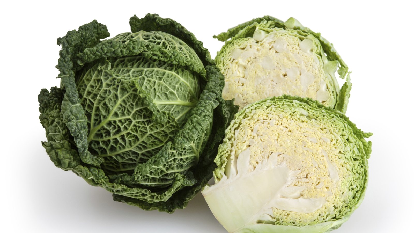 Savoy Cabbage