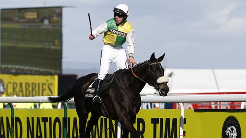 Many Clouds was the winner of the Grand National this year