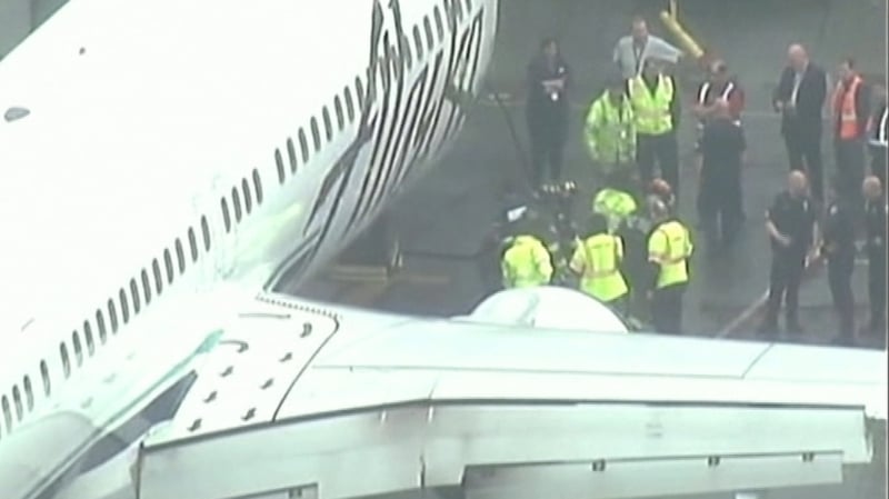 Plane leaves Seattle with airport worker in cargo