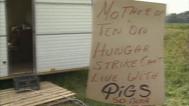 Pig Hunger Strike