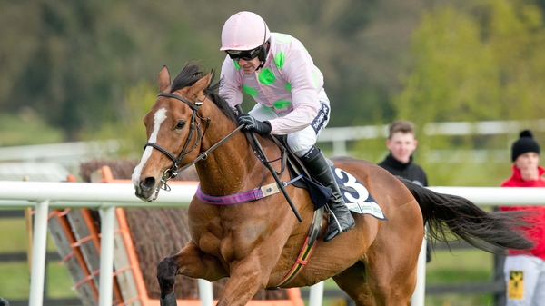 Faugheen has been sidelined since routing his opponents in the Irish Champion Hurdle at Leopardstown in January