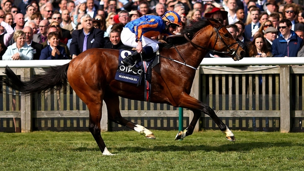 Gleneagles bids to give Aidan O'Brien a record-breaking seventh win in the St James's Palace Stakes