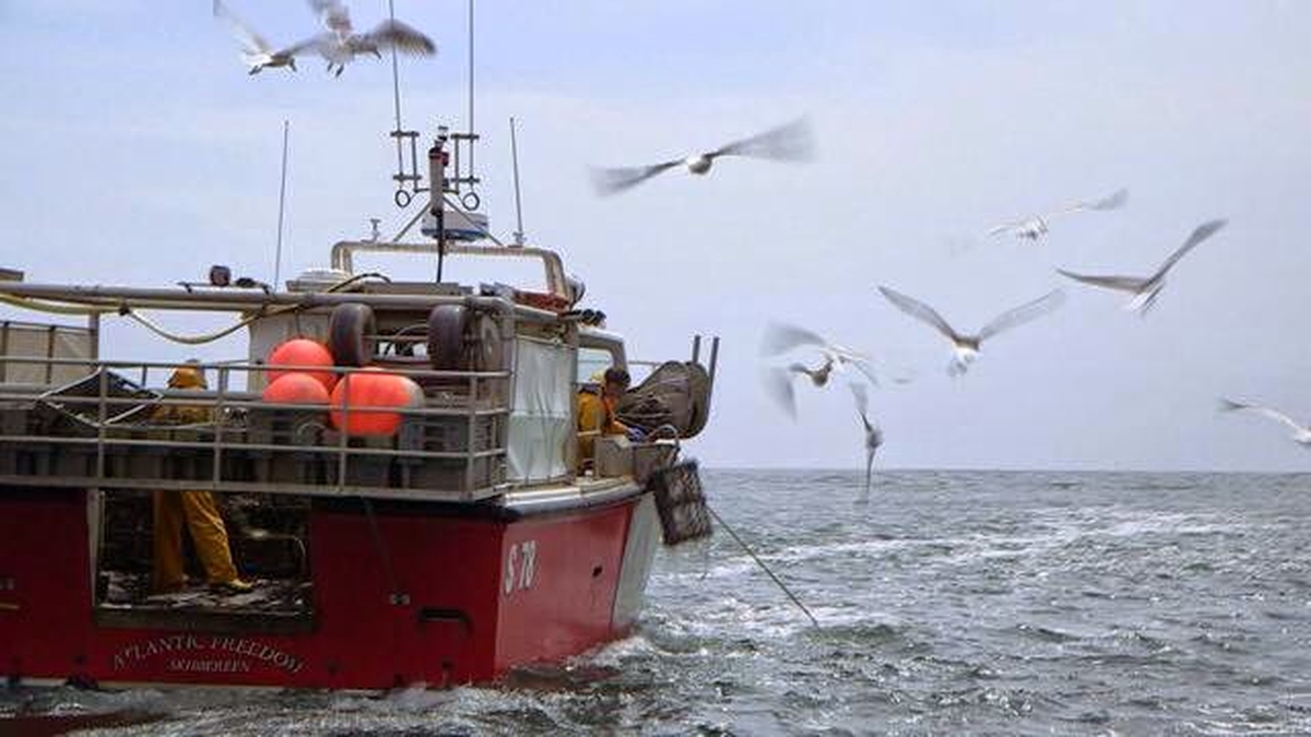 New fishing quotas agreed in Brussels Morning Ireland RTÉ Radio 1