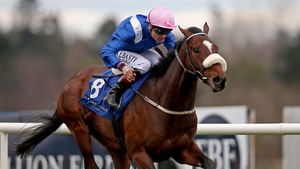 Zawraq winning the Leopardstown 2,000 Guineas Trial Stakes