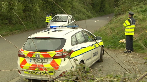 Gardaí at the scene this afternoon where the newborn baby girl was discovered