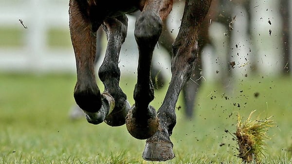 The raid took place on the same day a report was released finding Irish racing's anti-doping regulations were sufficient