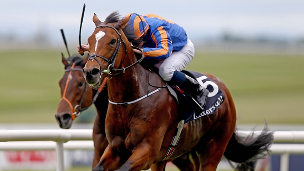 Gleneagles is a top-price 4-6 for the St James's Palace Stakes at Royal Ascot