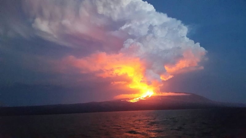 Volcano erupts on Galápagos Islands