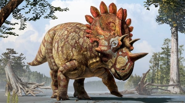 Artistic reconstruction of Regaliceratops peterhewsi (Pic: Julius T. Csotonyi, Royal Tyrrell Museum, Drumheller, Alberta)