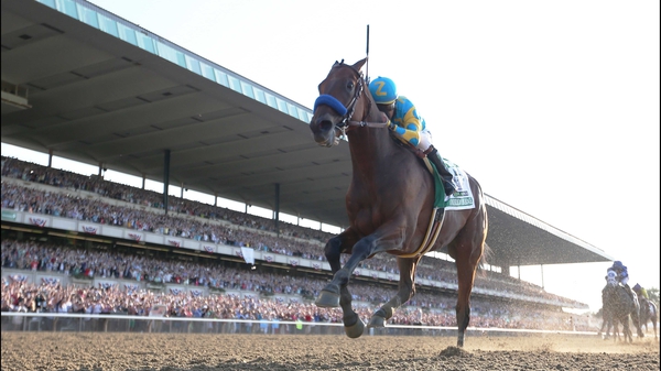 American Pharoah coasts clear of his rivals in New York