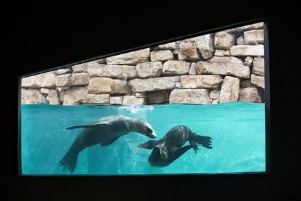 Dublin Zoo