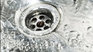"
The pollution of drinking water by animal and human waste can also bring with it harmful microscopic organisms like Cryptosporidium and E-coli that can cause illness in humans and animals."