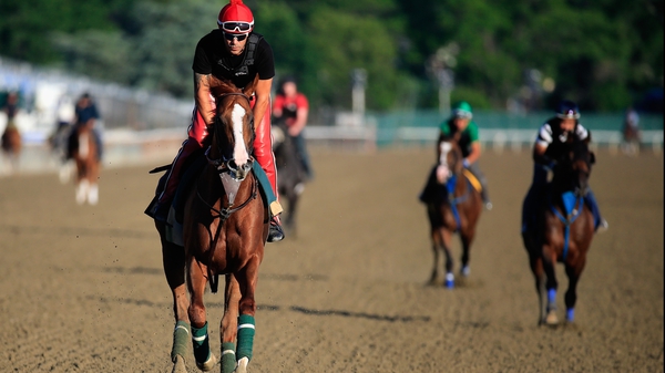 California Chrome finished second in the Dubai World Cup in March