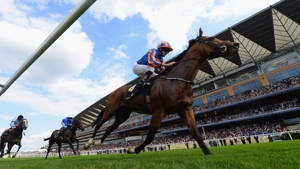 Gleneagles is a top-price 9-4 for the QEII