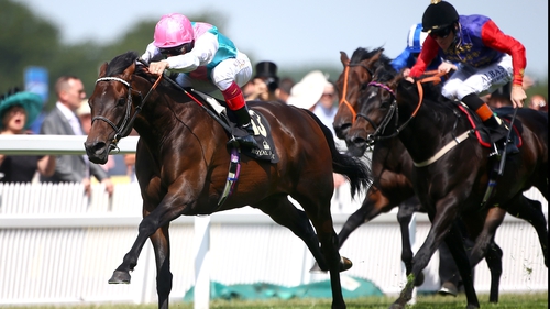 Time Test will represent sponsors Juddmonte Farms in the International Stakes at York