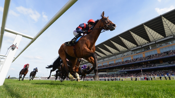 Graham Lee steered Trip To Paris to victory in the Royal Ascot Gold Cup
