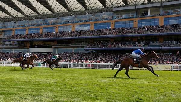 Muhaarar stormed to victory in the Commonwealth Cup