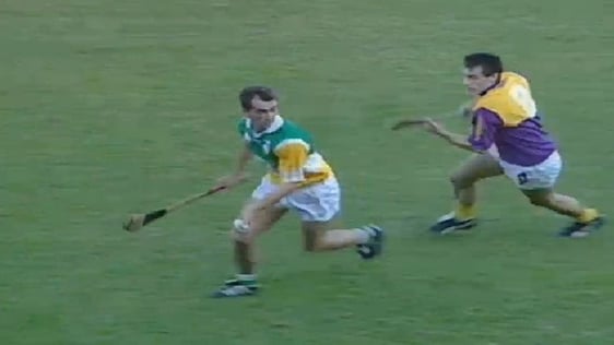Offaly v Wexford 1995