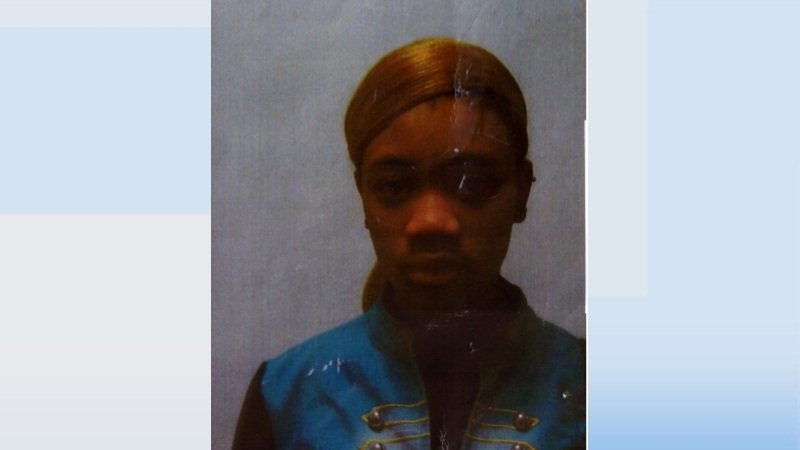 Appeal Issued Over Teenager Missing From Dublin 2087