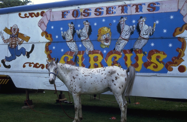 Fossetts Circus (1981)