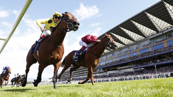 Postponed wins his first Group One at the second attempt, having come off third best in a tight finish to the Tattersalls Gold Cup at the Curragh on his penultimate start