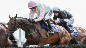 Ruby Walsh riding Long Dog to victory in the opening race in Galway on Tuesday