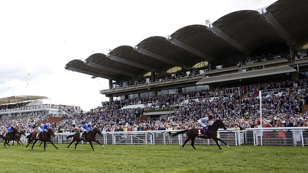 Magnetic Charm goes in the Ladbrokes Prestige Stakes at Goodwood