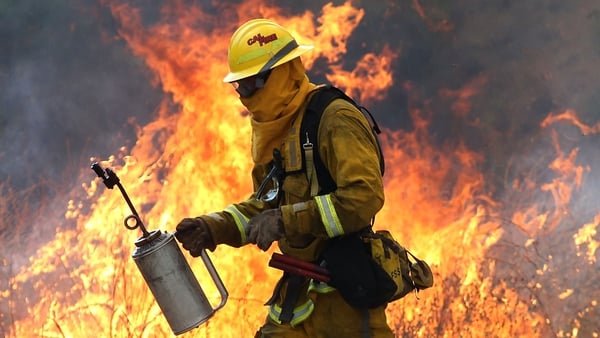 A firefighter moves away from a tall flame as he uses a drip torch to burn dry grass during a backfire operation to head off the Rocky Fire